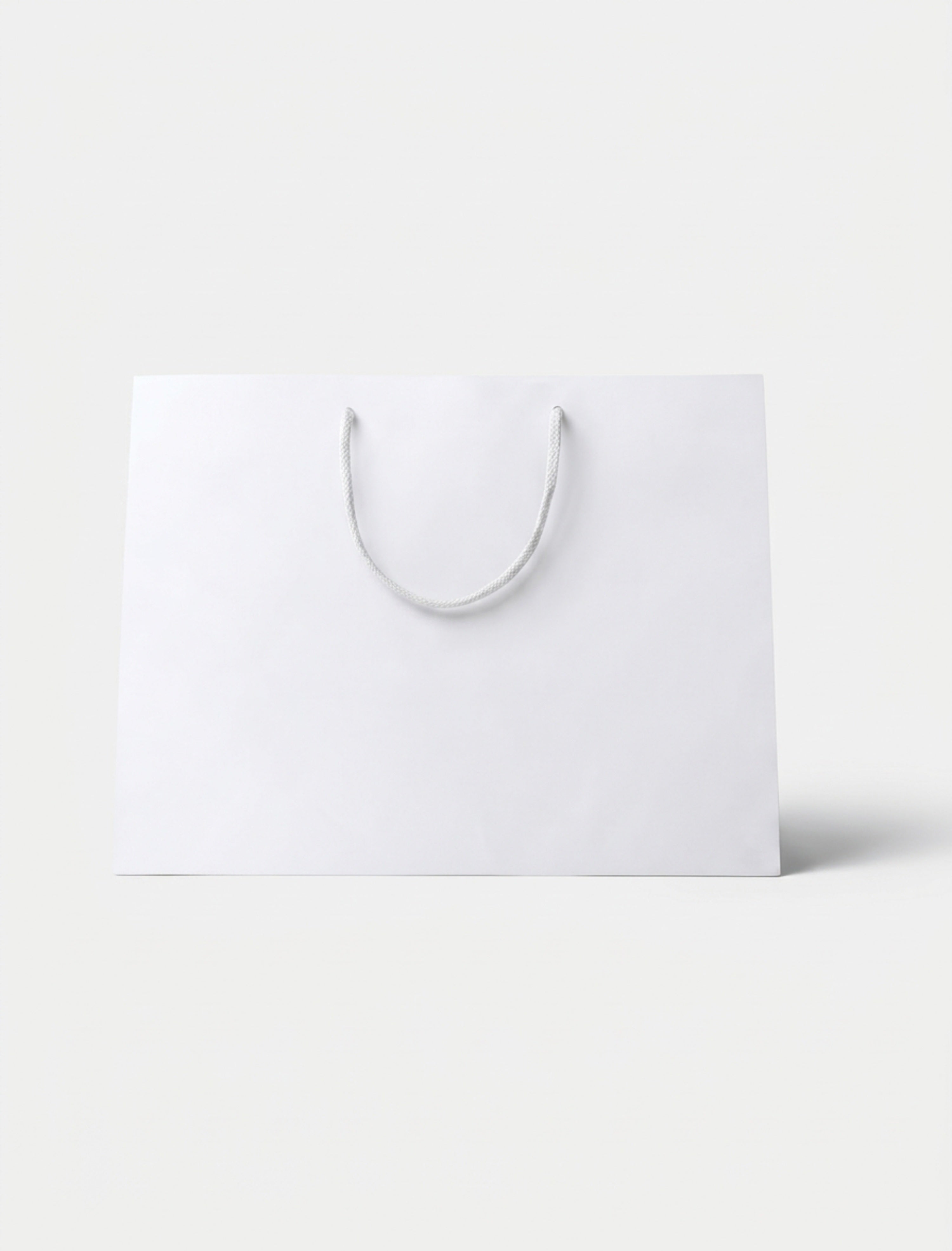 custom-printed-rope-handle-paper-bags.jpg